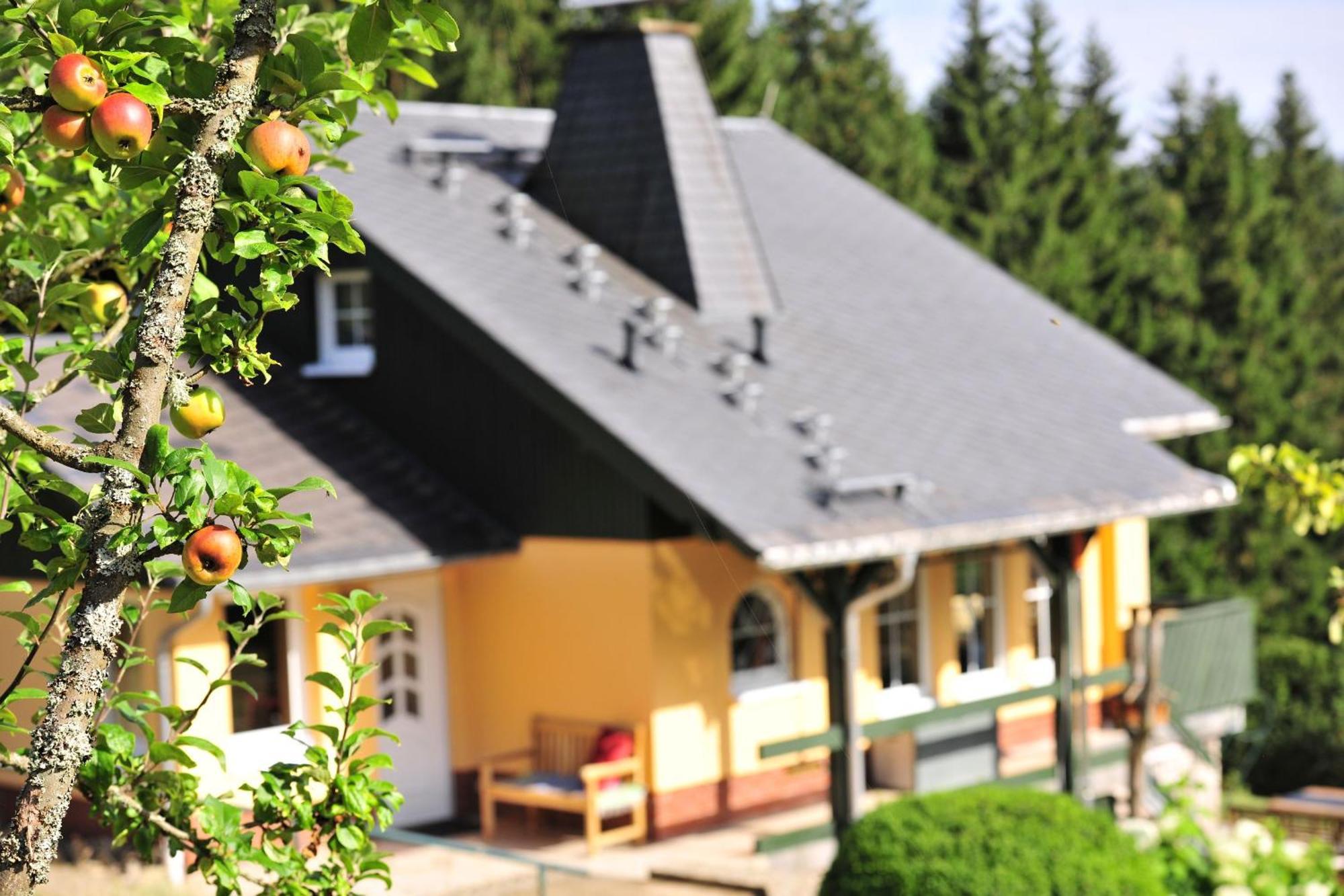 Exklusives Ferienhaus "Waldzauber" Ruhe Und Natur Pur Am Waldrand Geniessen Schönheide Exterior foto